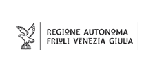 FVG-logo