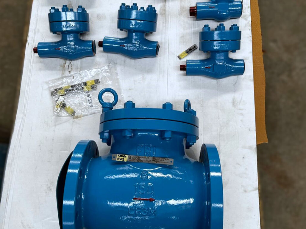 API 602 Forged Valves | FRI S.R.L.