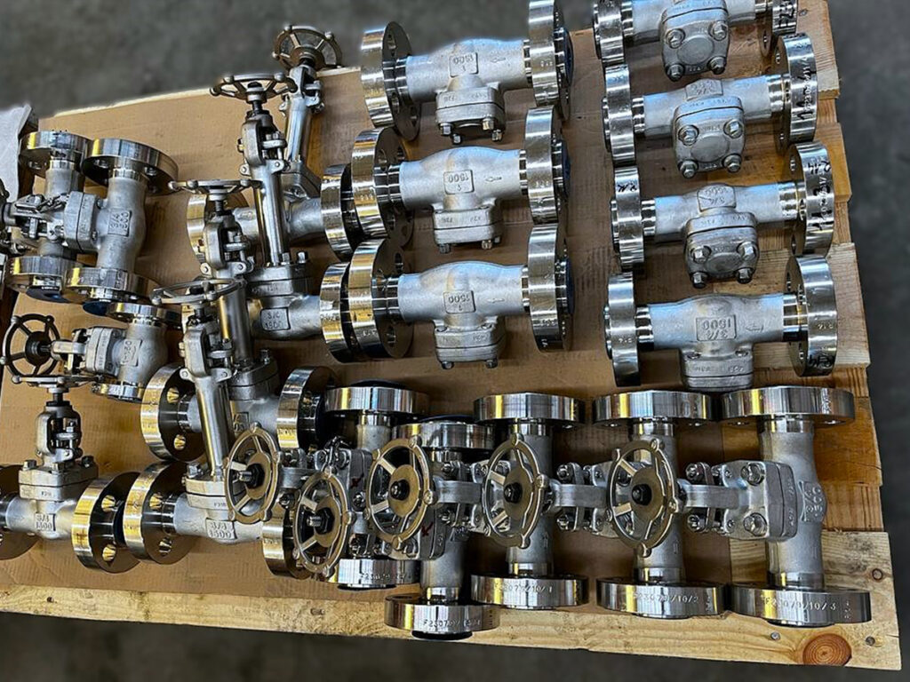 API 602 Forged Valves | FRI S.R.L.